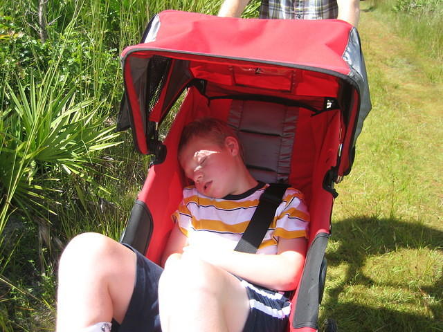 Samuel sleeping through our 3 mile walk through the Disney Wilderness Preserve.