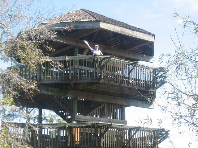 Dan atop the lookout tower.