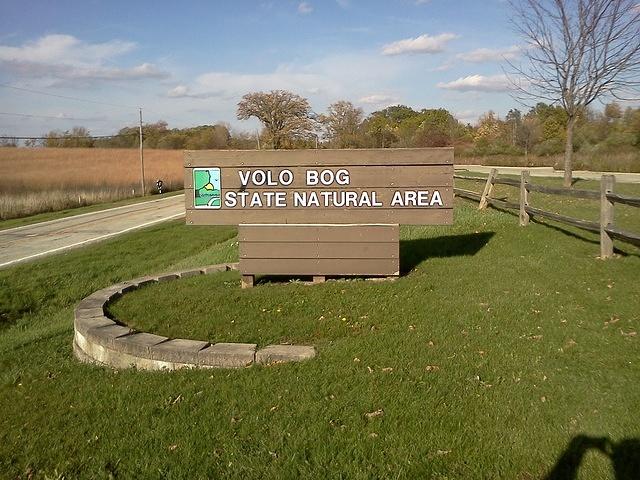 Volo Bog State Natural Area, just northwest of Chicago