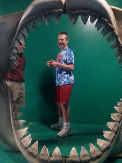 Aquarium at the Mall of America