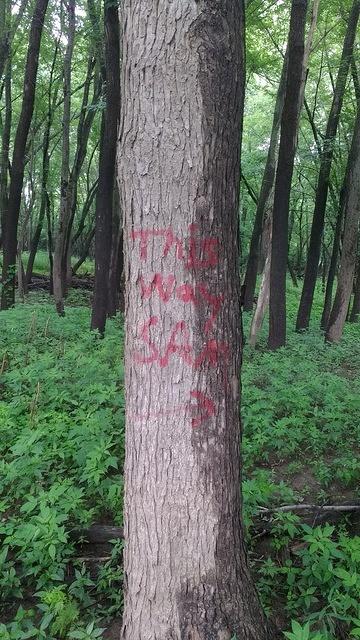 This was on a random tree along the trail!