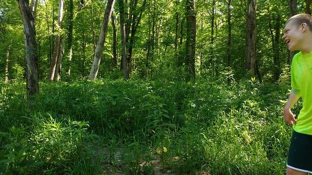 IMG_20170529_104134349