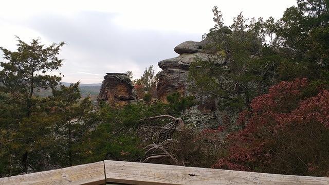 IMG_20181028_091301421