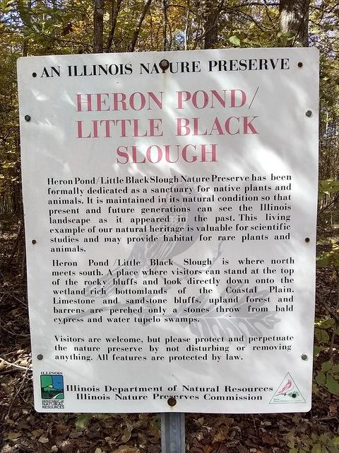 IMG_20181028_113143778_HDR