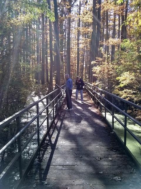 IMG_20181028_115528484_HDR