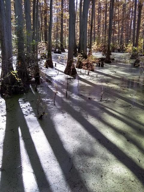 IMG_20181028_115711531_HDR