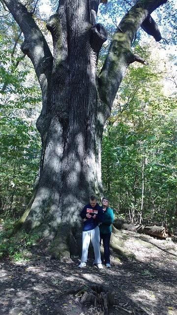 IMG_20181028_121748174