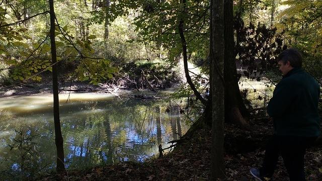 IMG_20181028_123744480