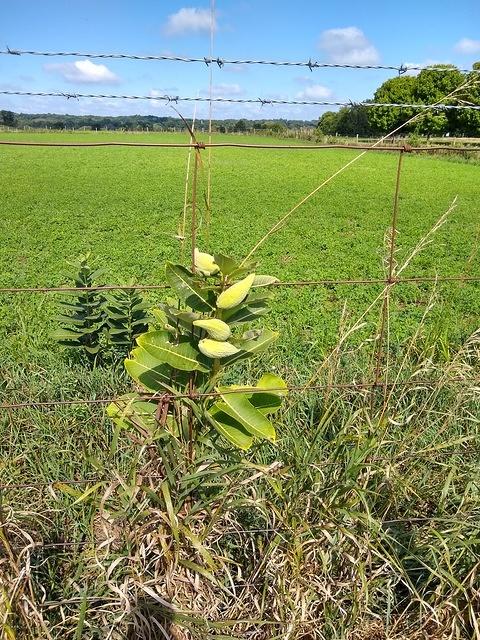 IMG 20190902 115903753 HDR