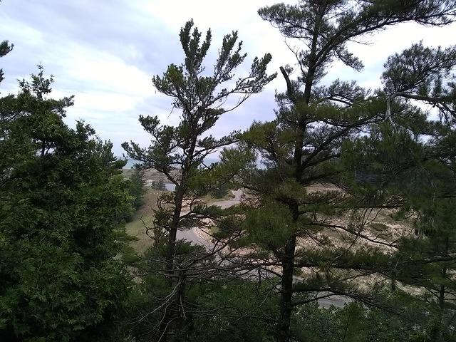 IMG 20190729 100537798