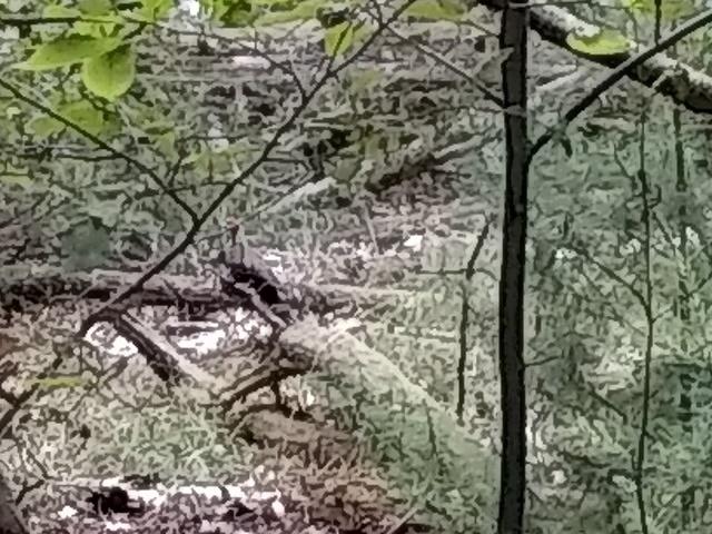 IMG 20190729 104934998