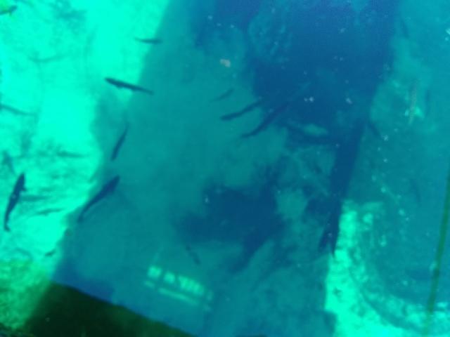 IMG 20190730 165238247