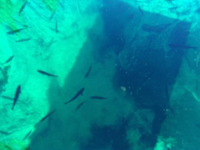 IMG 20190730 165243457