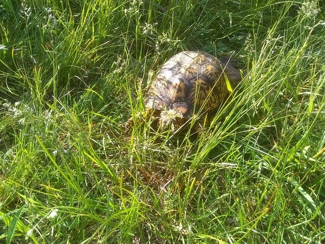 IMG 20200525 090812827