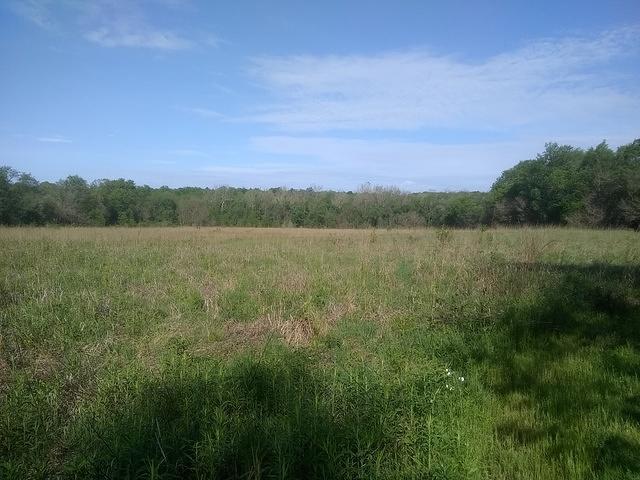 IMG 20200525 092048338