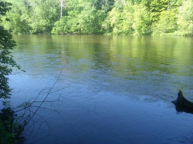 IMG 20200525 093914521