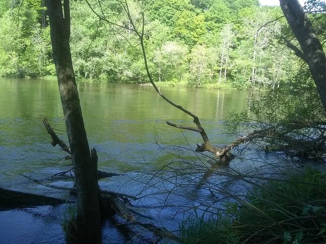 IMG 20200525 093917894