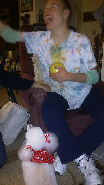 Poodle Pearl really wanted that yellow ball!