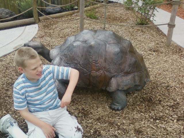 The turtle was so-so.