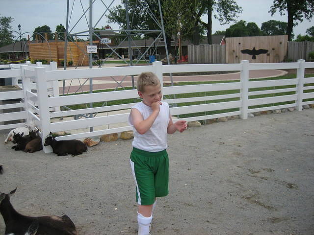 He wasn't a big fan of the barnyard petting area.