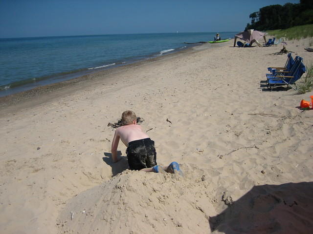 He was sleeping sitting up in the sand right before this picture was taken. He woke up while I was quietly trying to get the camera out and ready!
