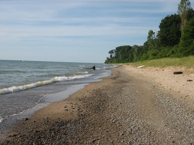 Our stretch of beach, looking toward the north.