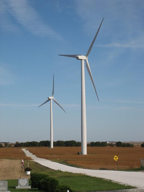 Close-up view. They are huge!