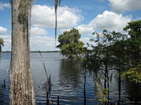 Disney Wilderness Preserve.