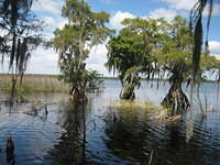 Disney Wilderness Preserve.