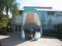 GATORLAND Entrance!