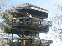 Dan atop the lookout tower.