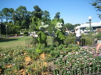 Cute Mickey and Minnie topiaries.