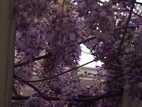 Miscellaneous 2012 Photos