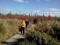 IMG_20131025_150001
