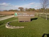 Volo Bog State Natural Area, just northwest of Chicago