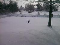 Snow in January 2014