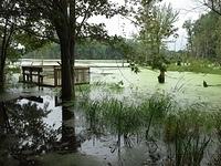 2014 Labor Day Hike - Potato Creek SP