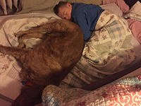 Samuel at Julie's; not missing Mom and Dad