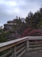 IMG_20181028_091352521_HDR