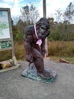 IMG_20181028_102742449_HDR