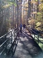 IMG_20181028_115528484_HDR