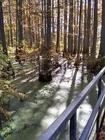 IMG_20181028_115605503_HDR