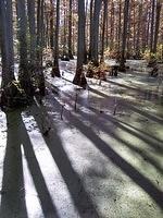 IMG_20181028_115711531_HDR