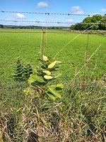 IMG 20190902 115903753 HDR