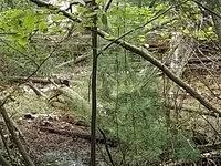 IMG 20190729 104927922