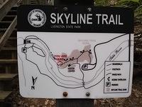 IMG 20190729 105117403