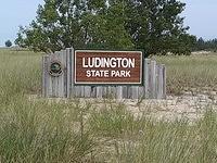 IMG 20190729 111721230 BURST001