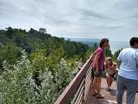 IMG 20190729 133026452 HDR