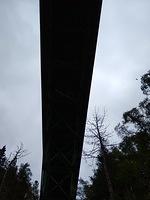 IMG 20190730 144145823