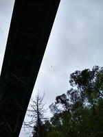 IMG 20190730 144151003 HDR